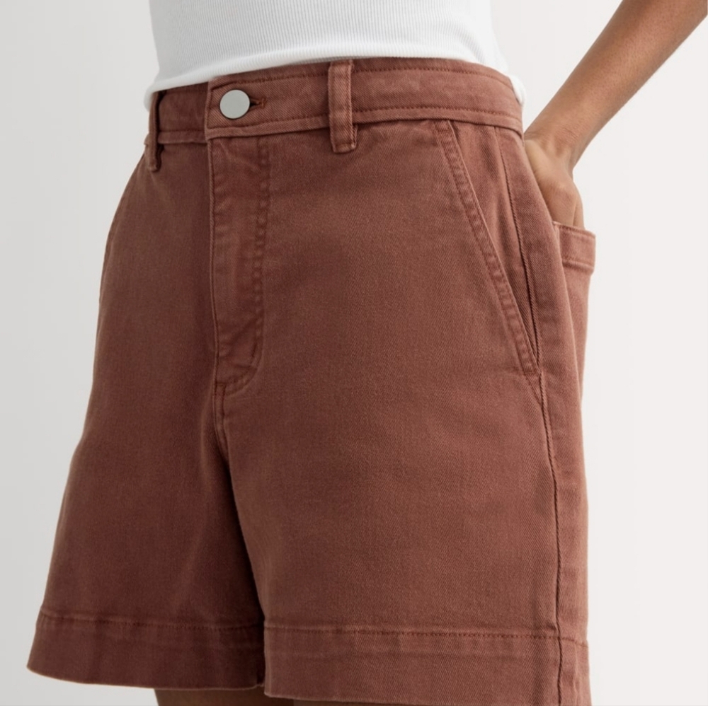 Everlane Chocolate Brown Shorts